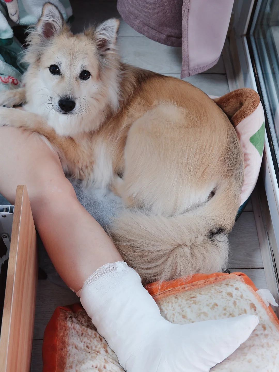 人生第一次骨折 😭