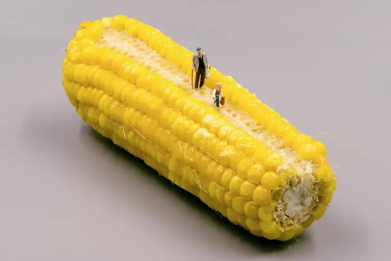 在网络上，我看到有人说他们那儿叫“苞谷”，感觉这个名字很形象，就像玉米被一层一层