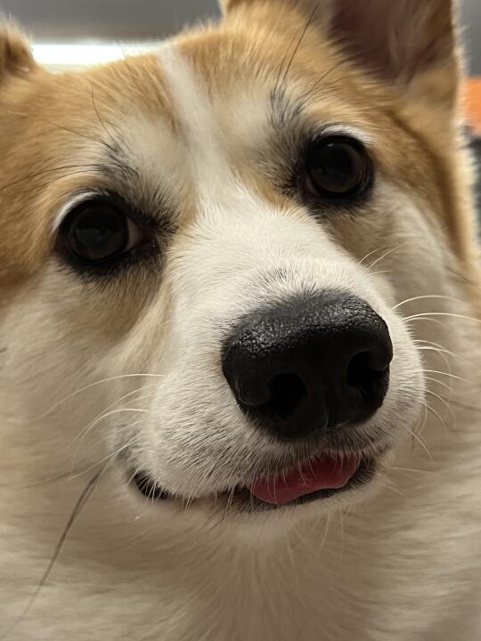 晚安 EE们
