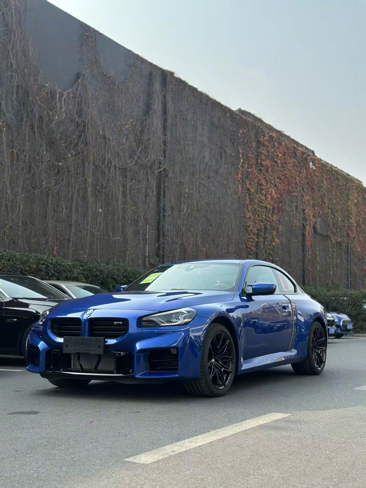 纯粹的驾驶机器，油门响应跟脚，转向精准，每个弯道都能给你最直接的快乐。 