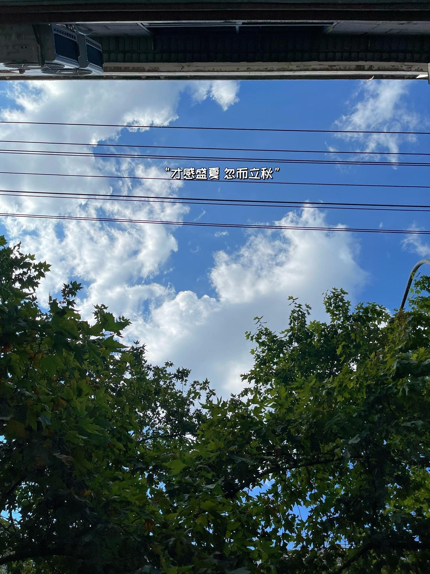 立秋文案。♥适合𝟠月𝟟号发的立秋文案📝𝟙.🍂「秋起·秋見」⸝⸝⸝𝑀?