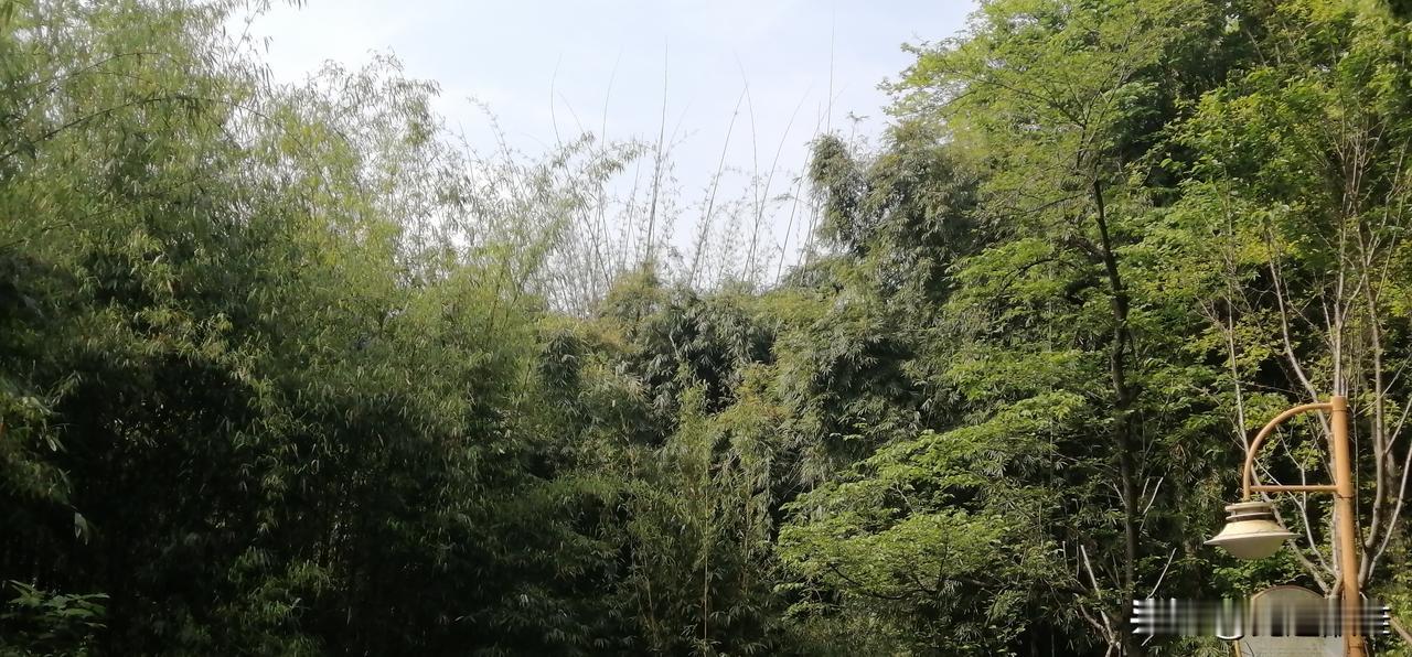 别再为不值得的人内耗了。
你掏心掏肺，
人家未必领情，
你百般迁就，
人家未必珍