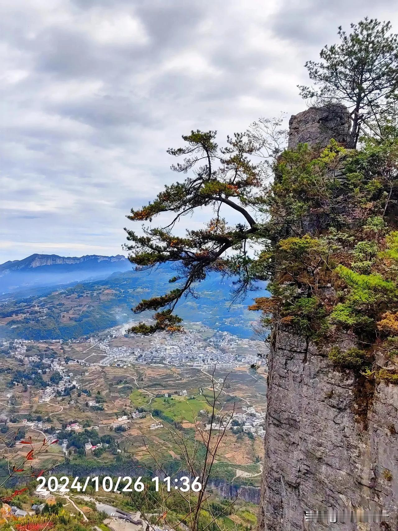 秋天的恩施大峡谷，山岩上顽强的树与叶