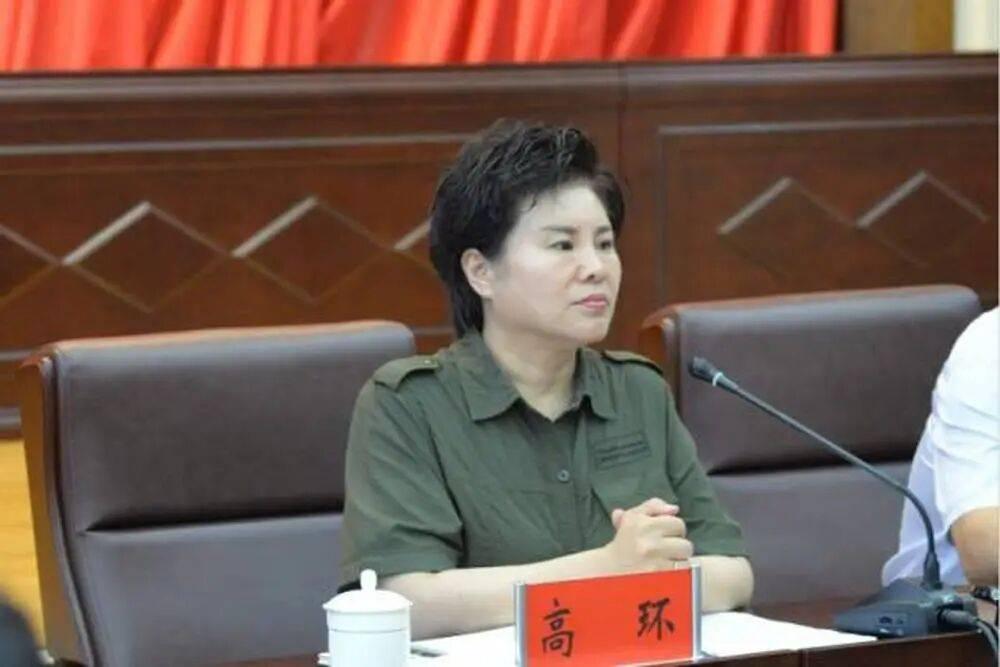 有着一串闪闪发光身份的美女厅官高环没有等到她的退休通知。
     她起步在东北