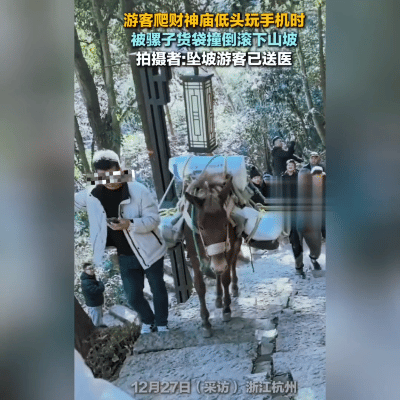 杭州这事儿看得人后脖颈发凉！12月26日，有人爬“天下第一财神庙”时，光顾着低头