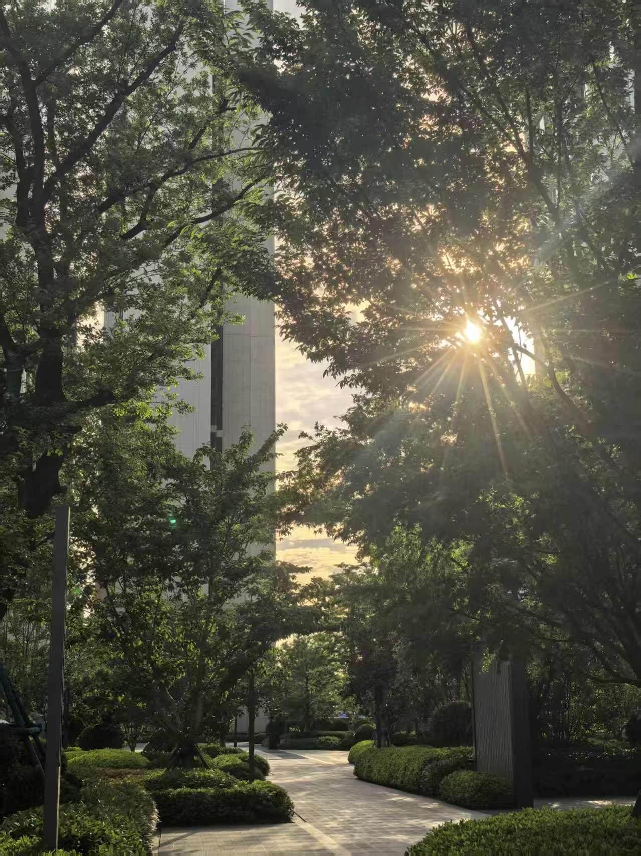 夏日的夕阳如同美丽的油画，将天空点缀的如梦如幻。
在夏日的傍晚，抬头望向西方，那