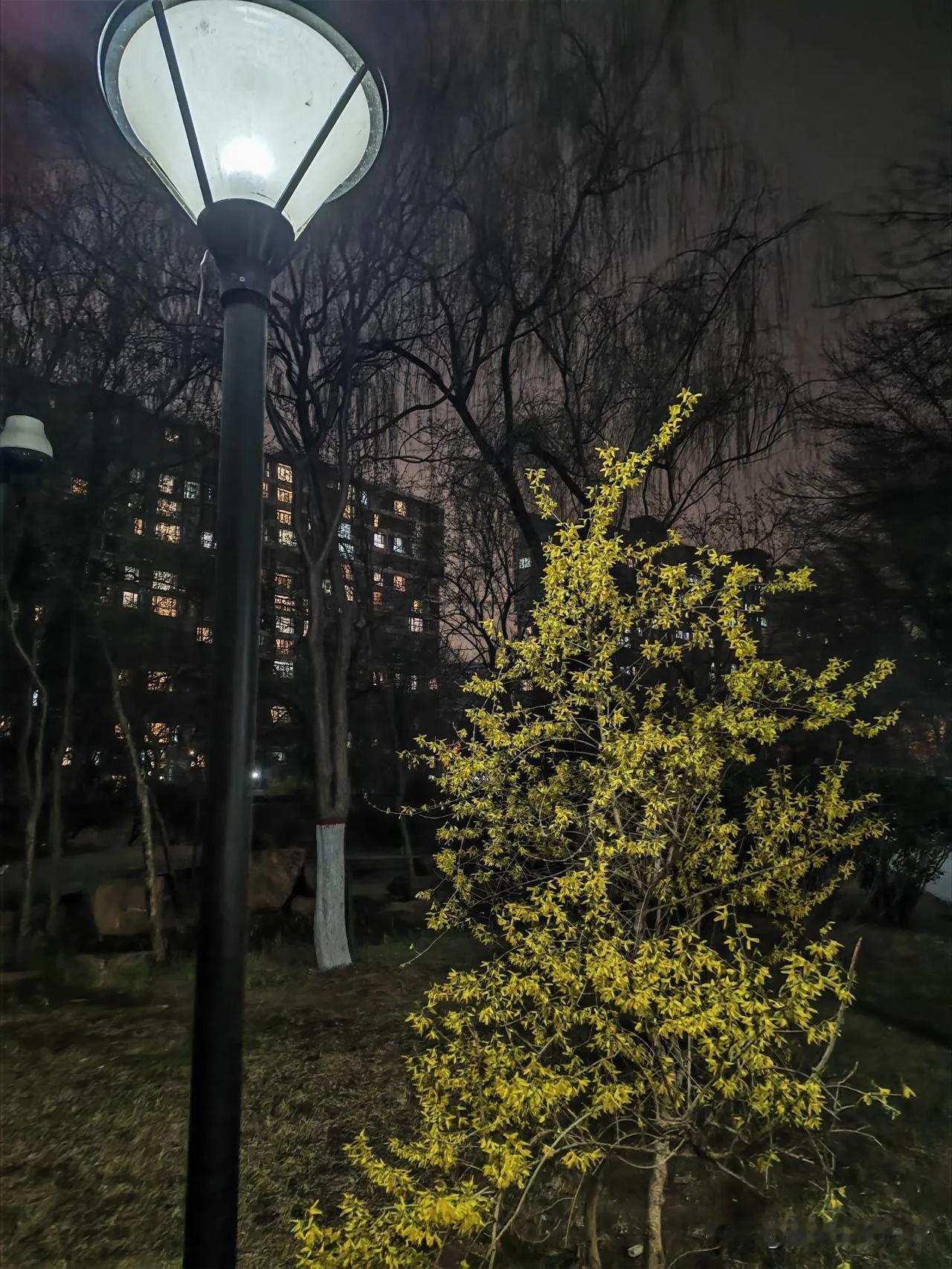 风只是经过，
花却乱了心扉；
… …
往下该怎么接？

预测未来最好的形式，
是