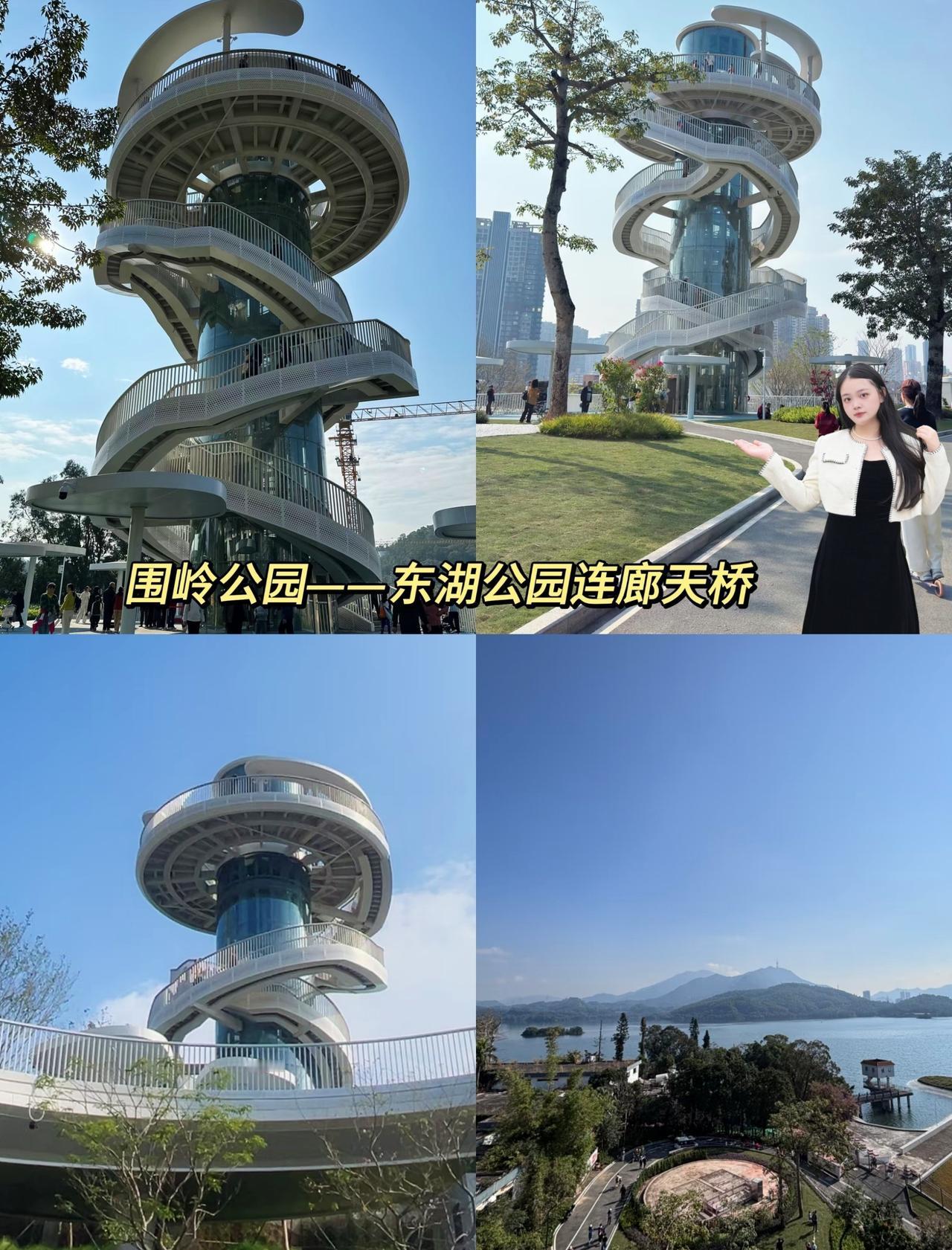 深圳罗湖藏了个好去处“小森林秘境”🌳
📍深圳 
📍地址：深圳市罗湖区金稻田