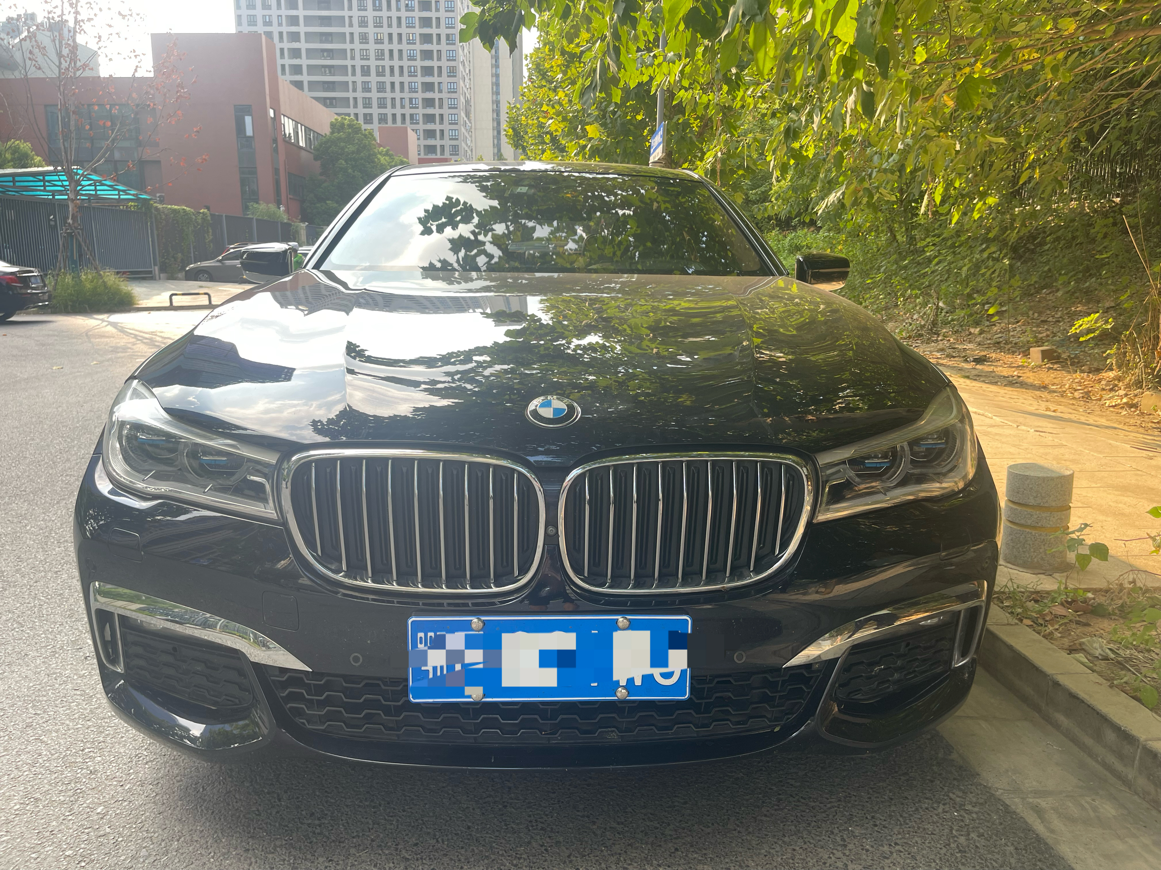 下午和图图去看了一台百万的豪车2019年宝马740Li 尊享 M运动8万多公里 