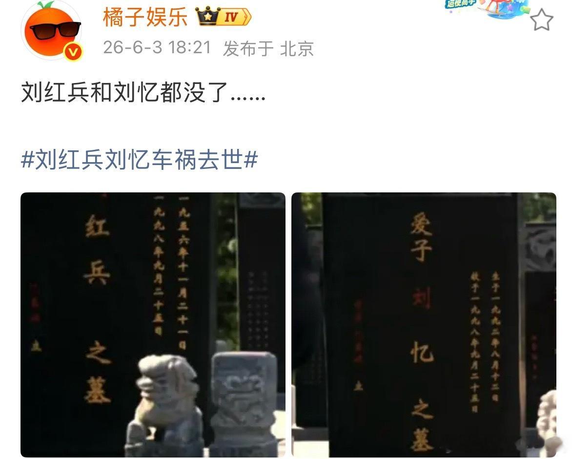 妈呀 刘红兵和刘忆都去世了 谁看了？