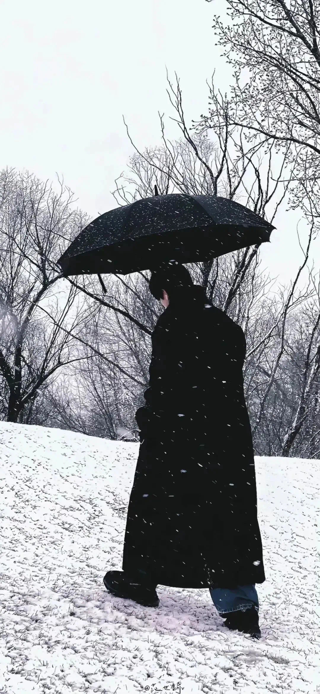 大多数时候我们以为自己在思考，其实都是在对自身的行为和欲望进行合理化，这正是人类