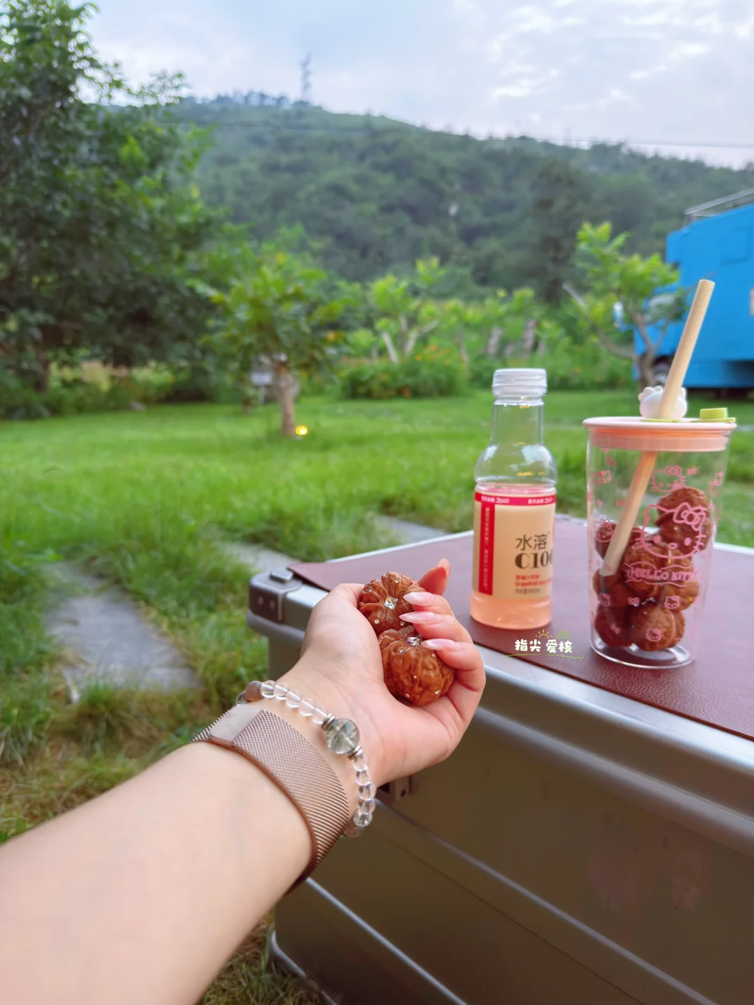 不慌不忙 | 自有风景🍃