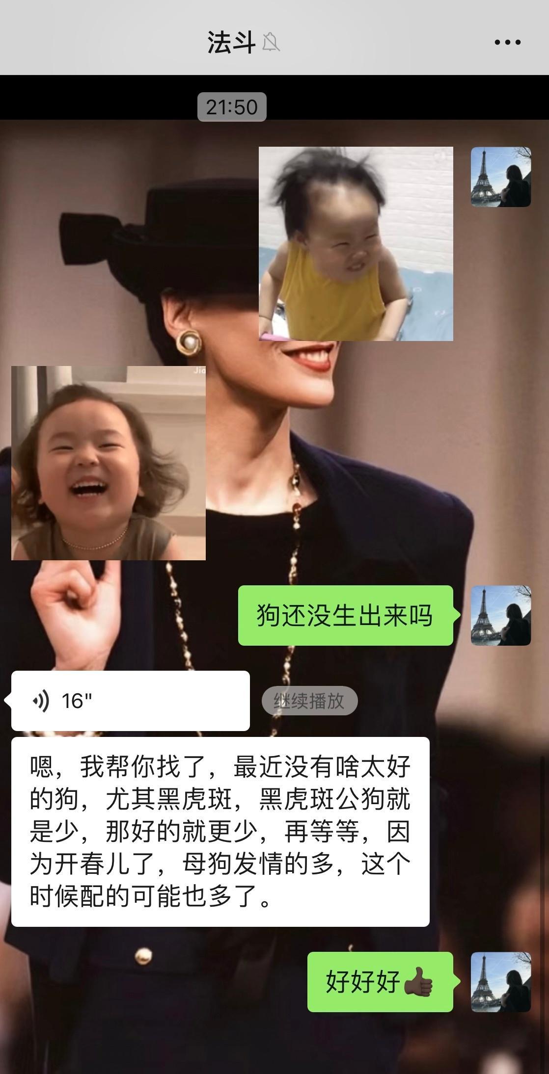 等一只黑黑的完美小胖法斗，快出现吧[开学季]，别太晚（去年交了定金排一只德文，排