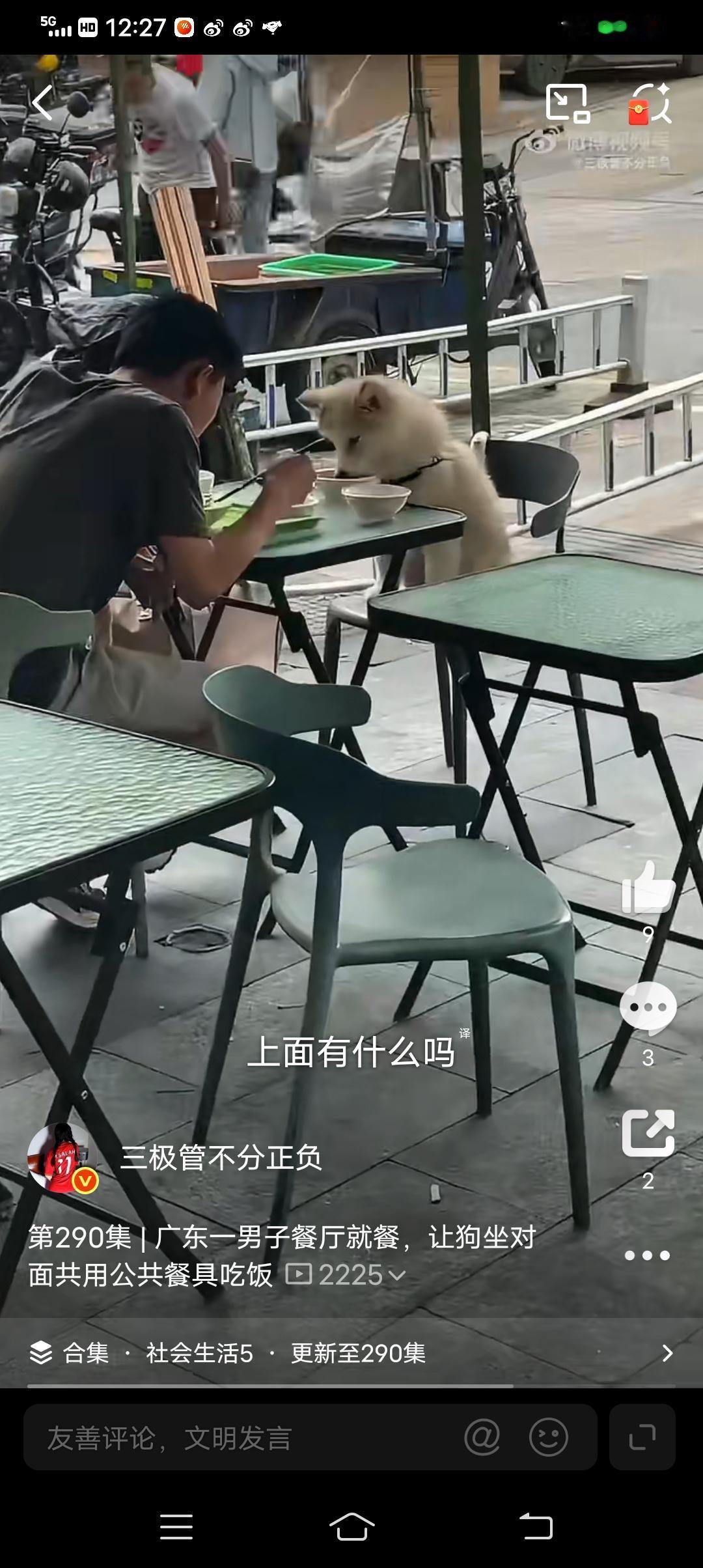 4月17日，广东某地一家餐厅内，一名男子在餐厅外堂食就餐时，竟将自家宠物狗带到餐