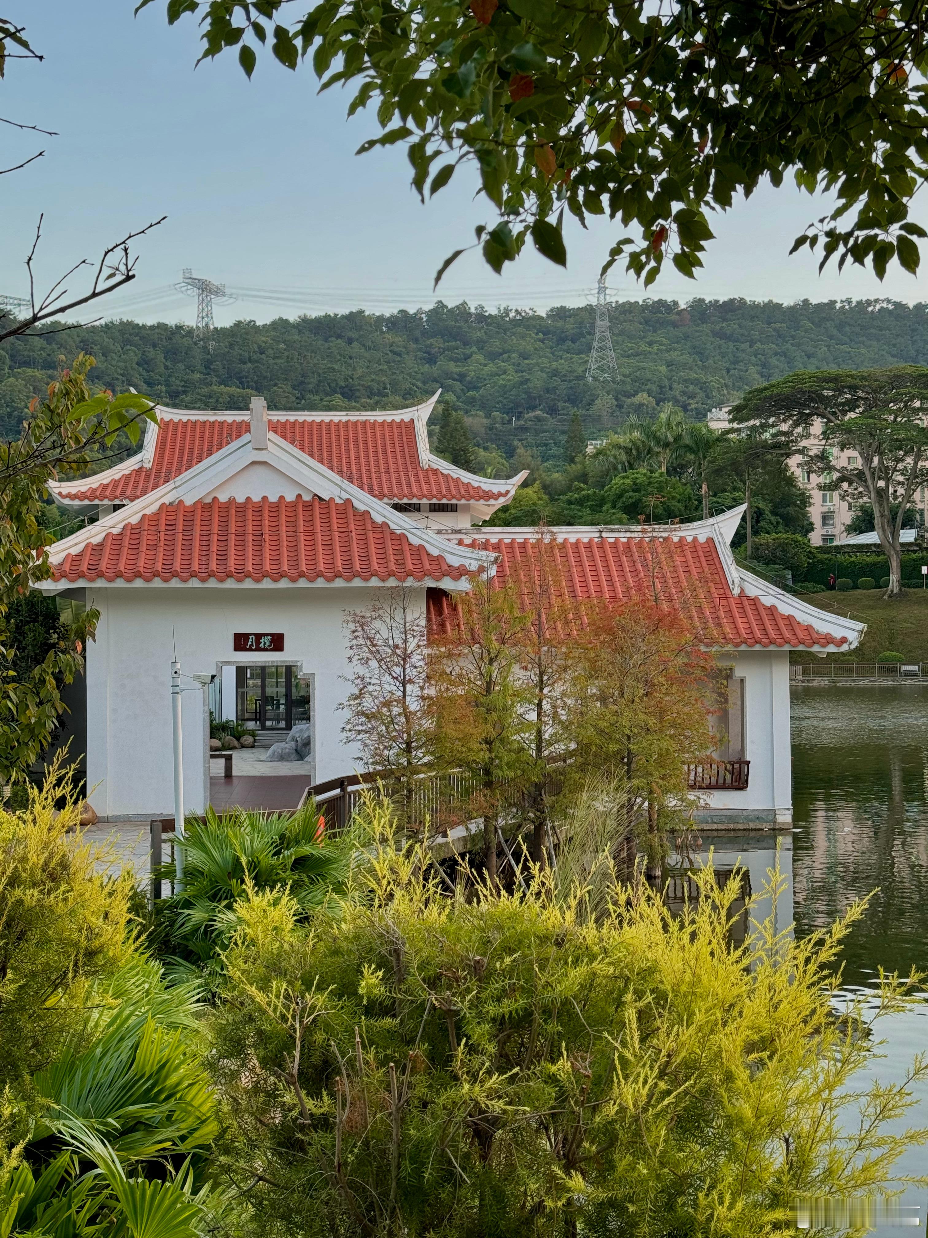 周三好呀🍂霜降#日常[超话]# 婆婆打电话来说记得吃四物鸭汤噢 ​​​