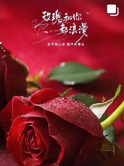 男人要是能轻轻碰女人这3个地方，比说多少甜言蜜语都有用！人过40岁，越这样碰，两