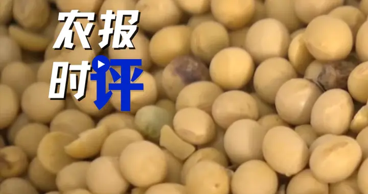 究竟是谁破坏巴西雨林？真相戳穿西方甩锅谎言