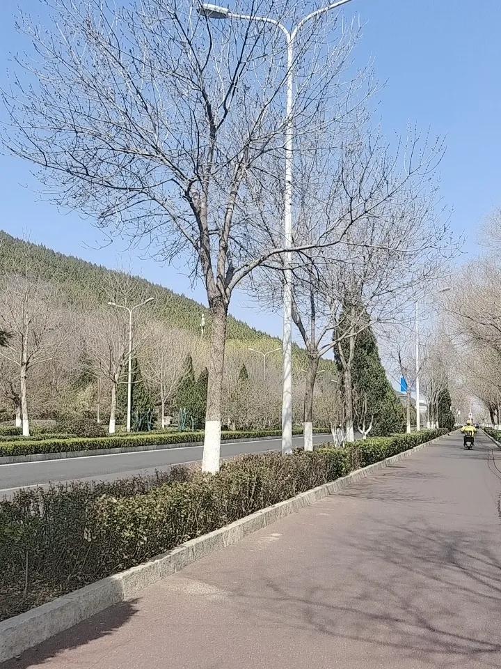 今天难得出太阳，趁阳光明媚出门晒晒太阳。