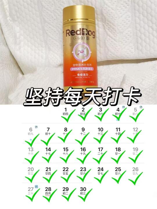 猫咪总感冒？打卡一个月红狗乳铁蛋白真的神