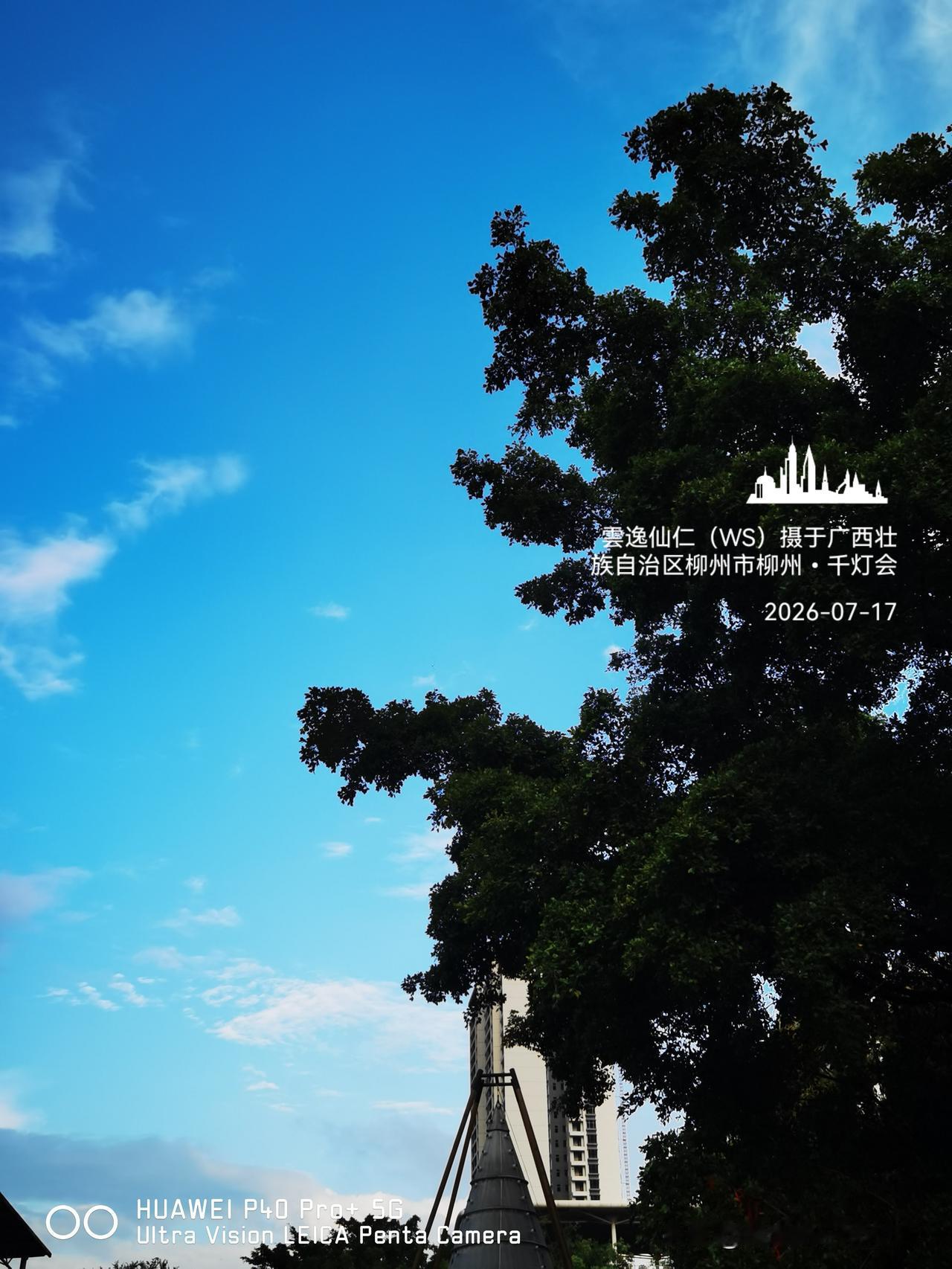 月居生活记录（10193）广西壮族自治区柳州市（231）：绿龙、云龙冲天、黑鹏等