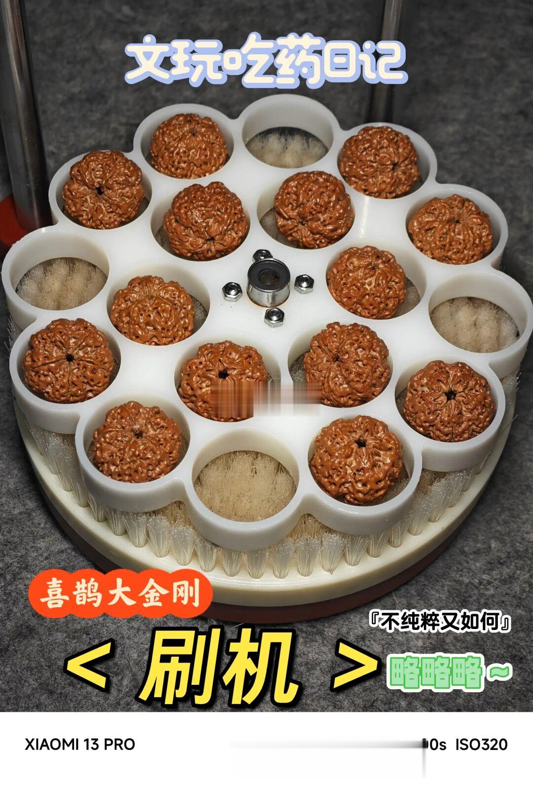 NO.293 我就用机器刷金刚，略略略～