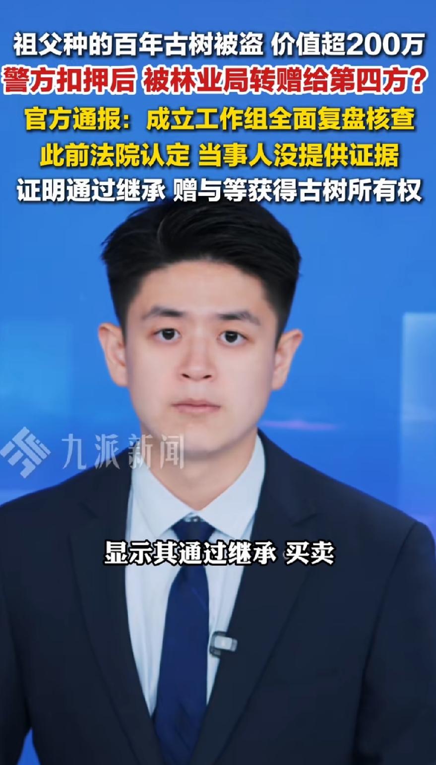 价值200万的古树被盗！警方扣押后，被林业局转赠给了第四方，当事人16年维权，法