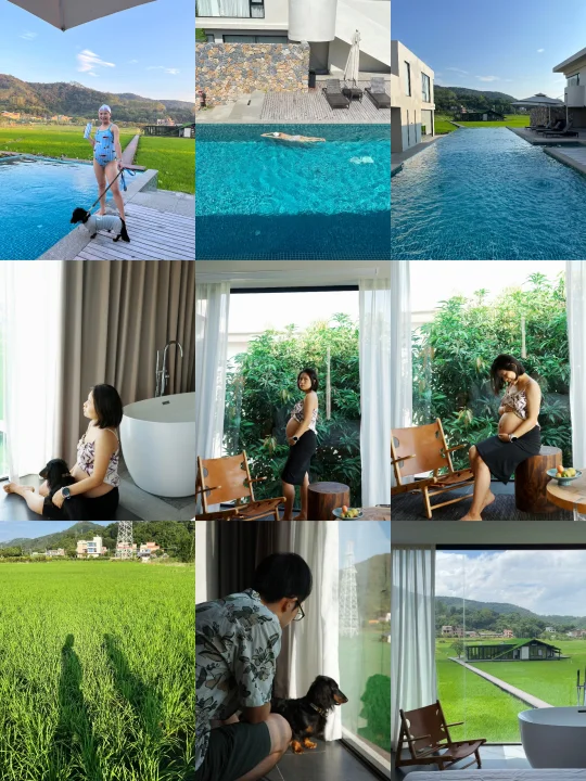 孕34w，带小狗staycation～