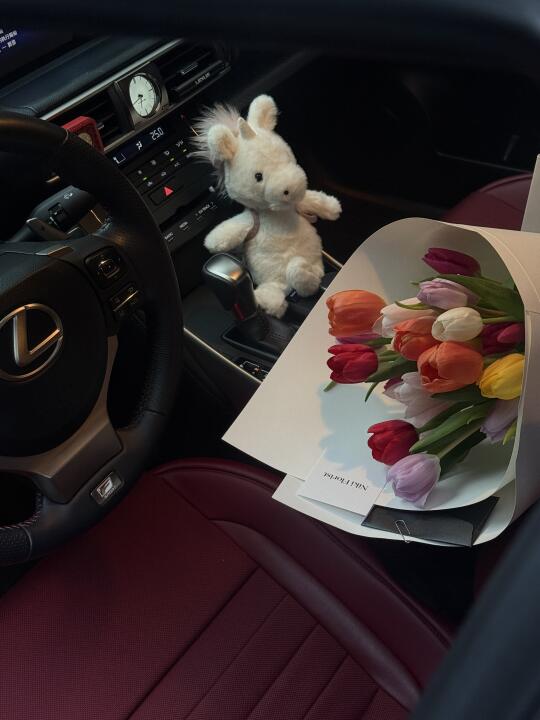 ♥️ 女神节快乐 Lexus的仙女们