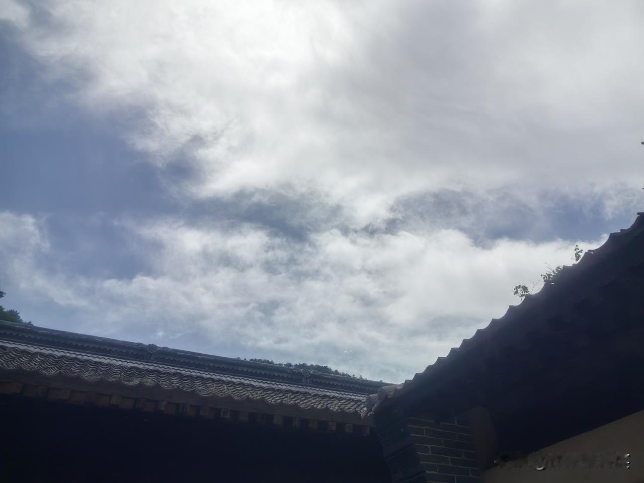山里的天真蓝，城里的人真忙


周末进山，抬头愣住——天蓝得像被水洗过，云慢得像