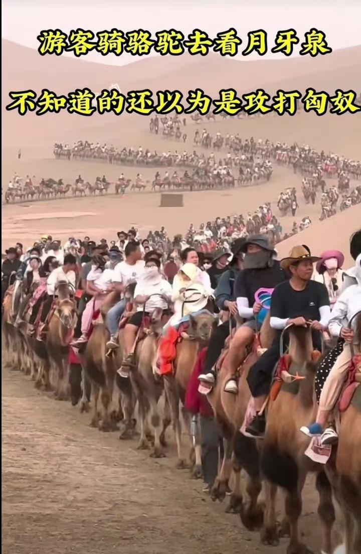 哈哈哈哈全世界都知道中国人放假了，景区都被淹没了，有没有在酒店纯躺平的？[允悲]