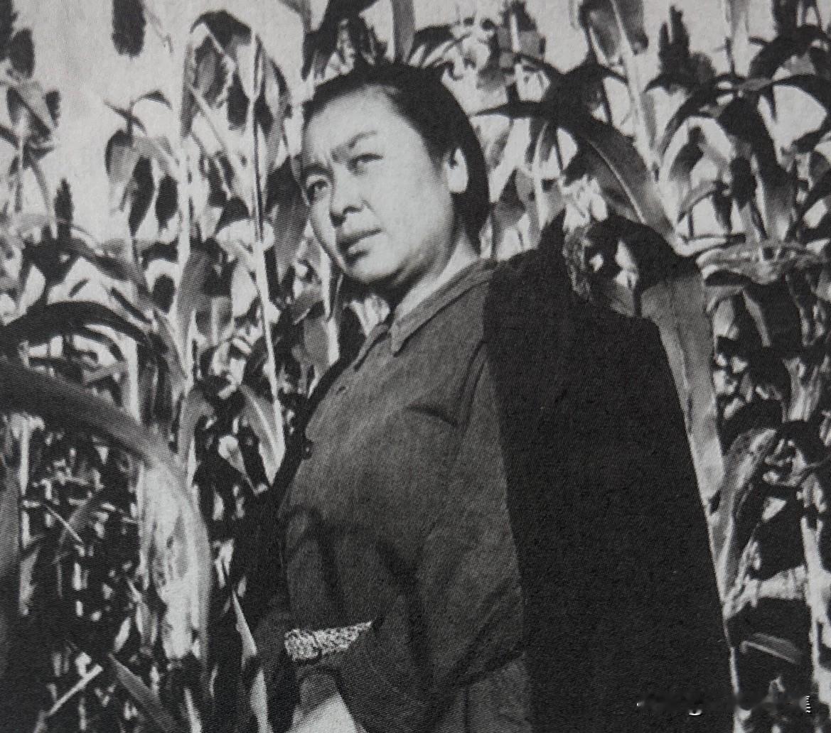 1946年7月，丁玲在河北涿鹿县桑干河畔的温泉屯参加土改工作，这段经历是她文学生