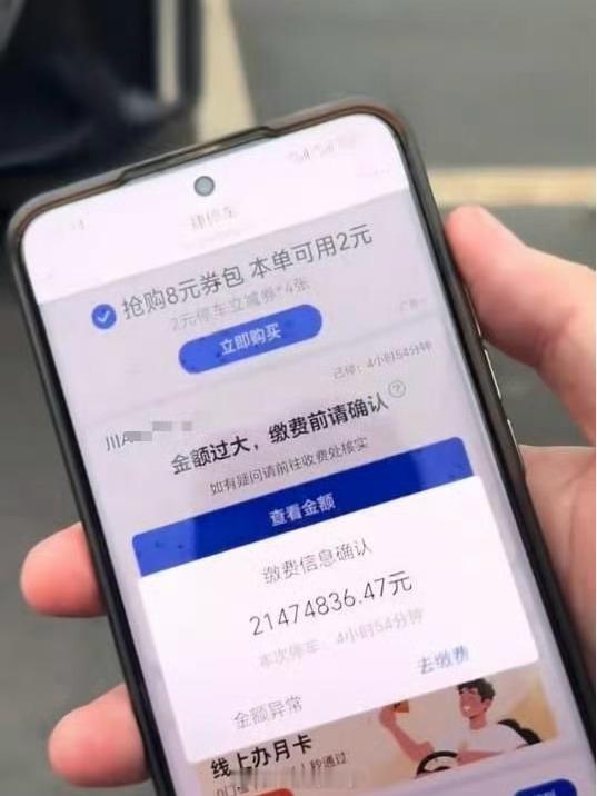 景区回应男子停车费超20000000 突然感觉我平时机场车站停一天，一二百块大洋