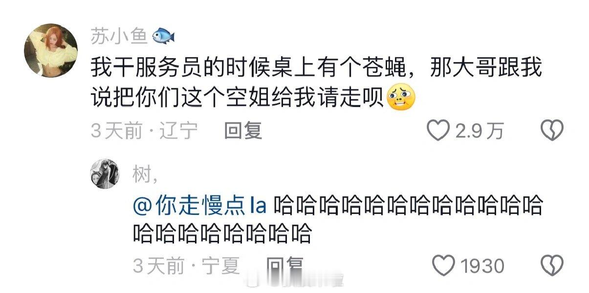 东北人都这么幽默吗？哈哈哈哈哈哈哈哈哈哈哈太好笑了好想有一个东北朋友 一定会很开