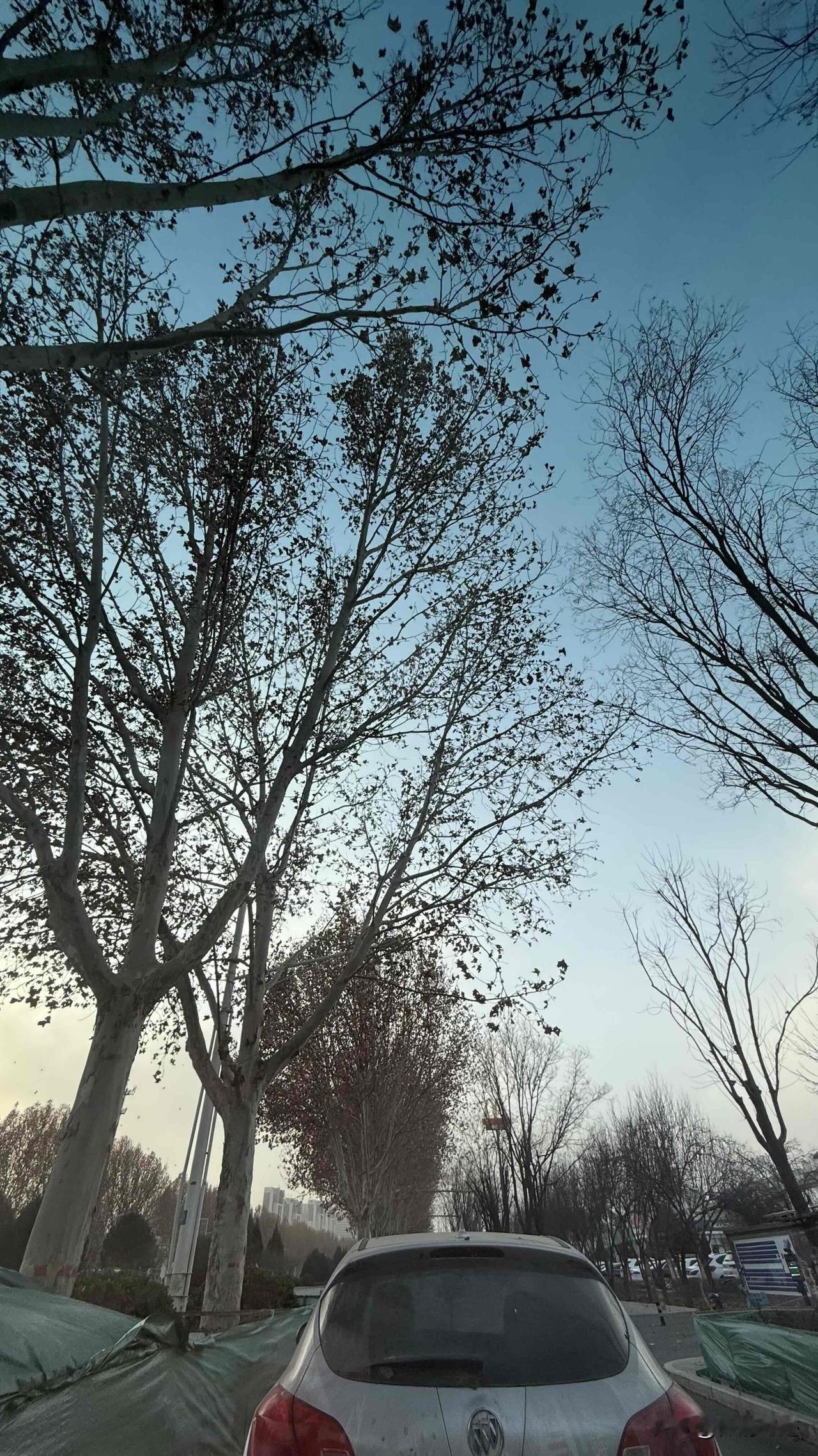 保定发布大风预警信息，没想到这大风真来了！

‌昨天，保定市气象台发布大风黄色预