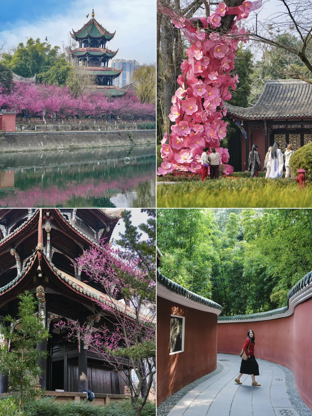 快冲❗️地铁直达！这里的梅花🌸开爆了……