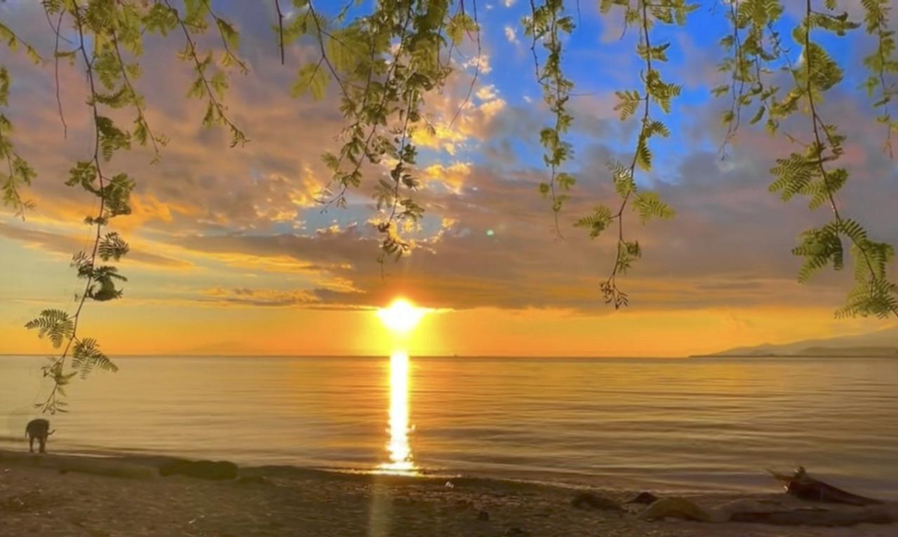 看到“踏青赏春喜乐融”这个下联，我脑海里一下就浮现出“踏雪寻梅诗意浓”的上联。
