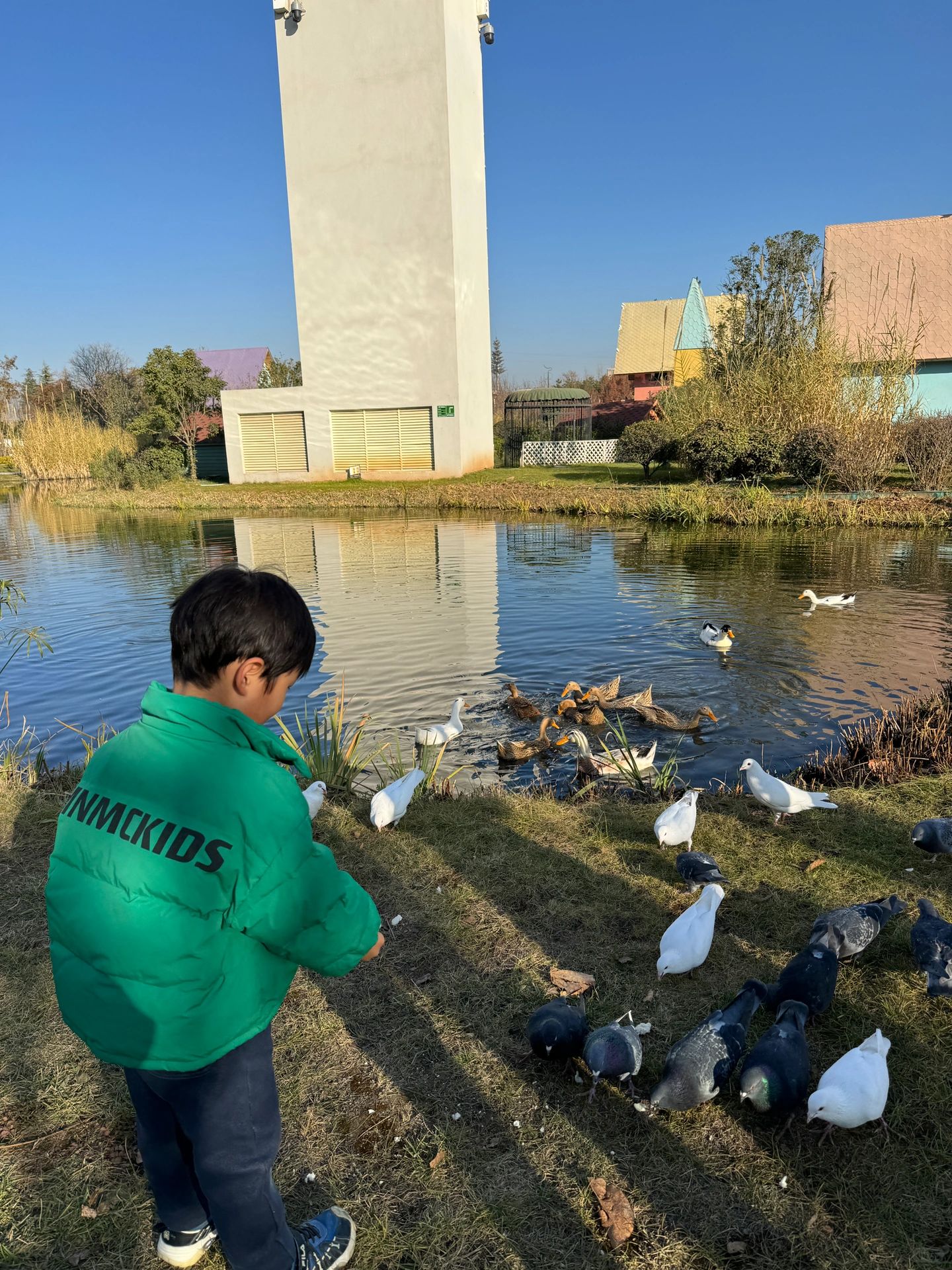 不要💰的喂鸭子🦆鸽子🕊️的公园！还这么美！