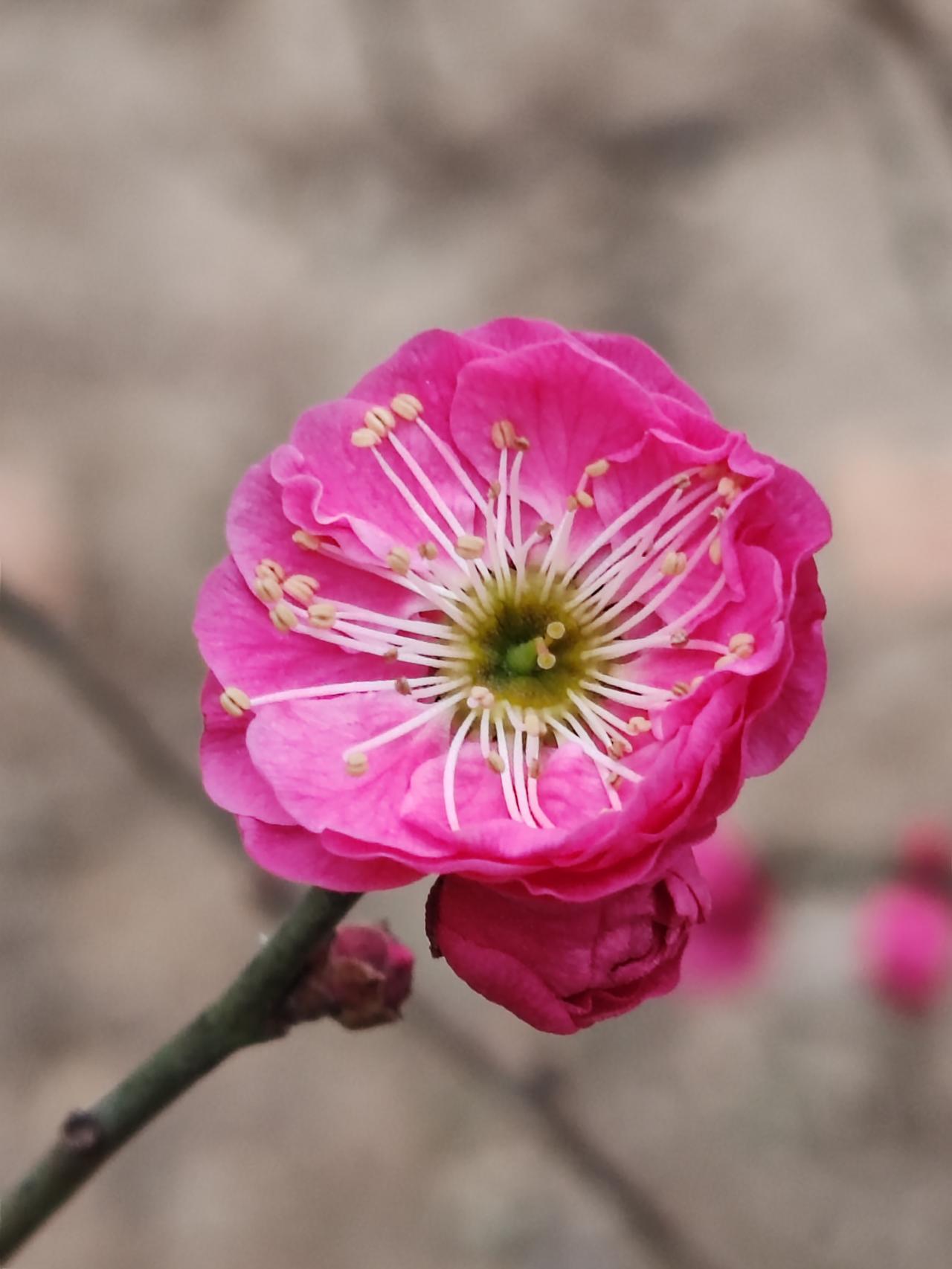 现在离婚率这么高还是先不加为好。等结婚生育下一代后可以考虑加。毕竟婚姻不是一场简