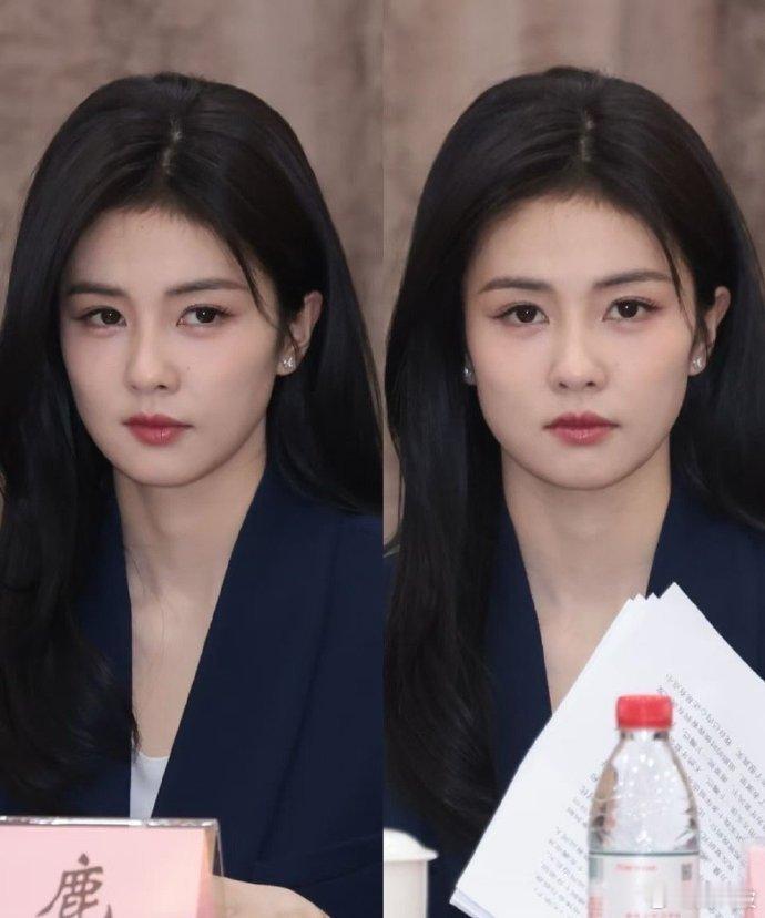 白鹿研讨会G社生图白鹿北上研讨会G社生图白鹿体制内女友风被白鹿的生图狠狠拿捏，这