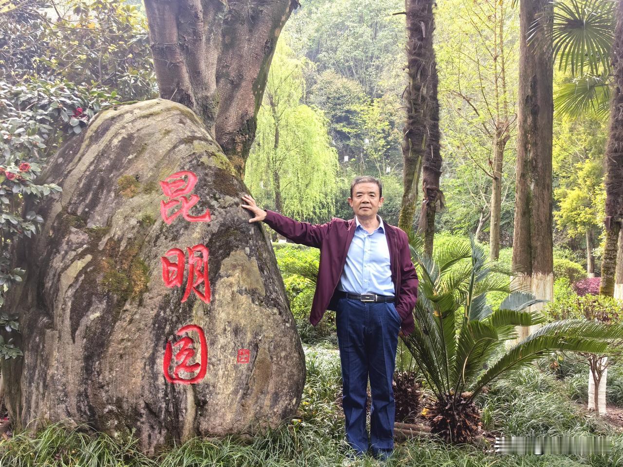 重庆园博园系列（四）西部园林展区（11）昆明园。重庆园博园灯会 重庆园博园大桥 