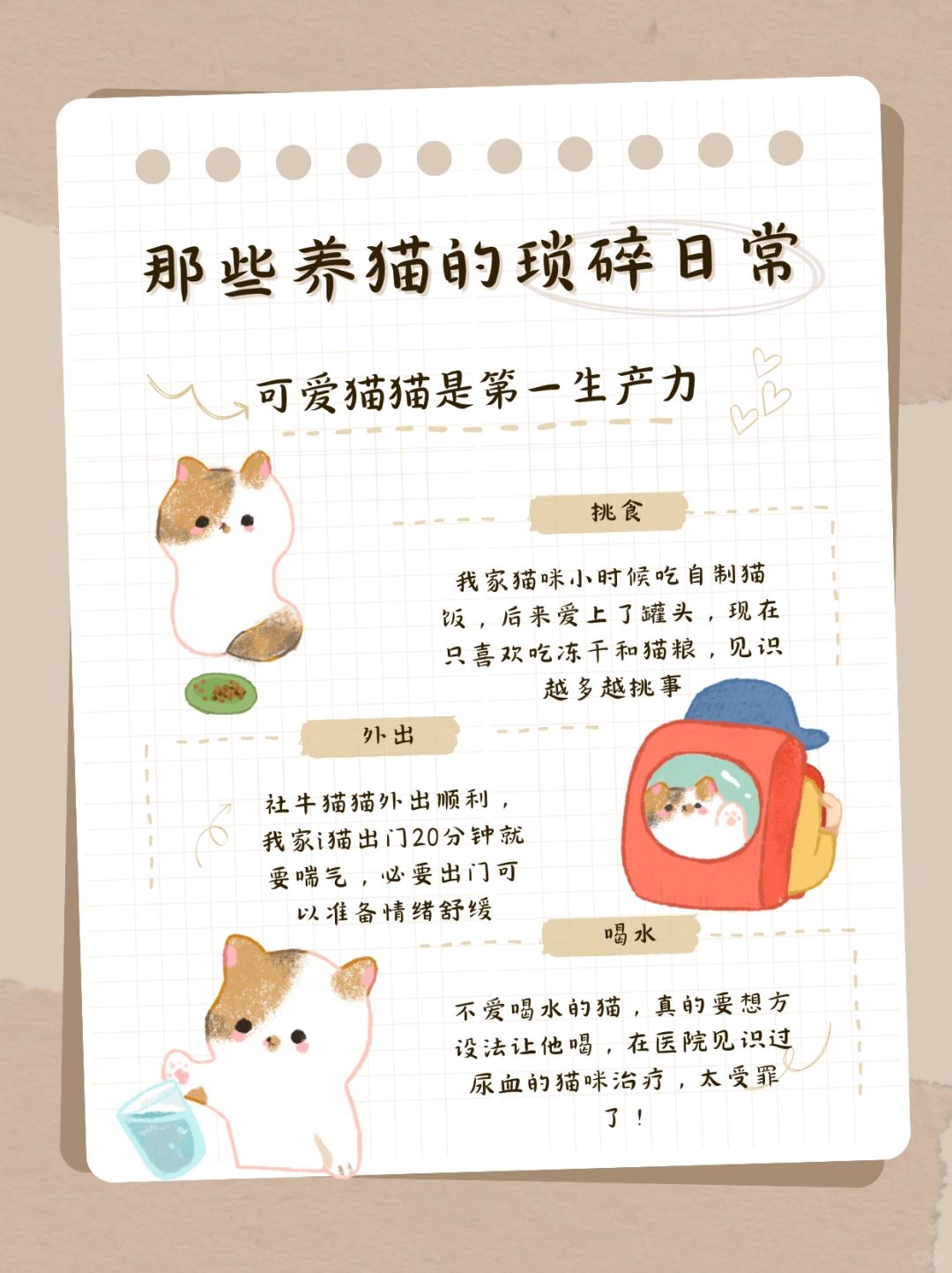 那些养猫的琐碎日常～🐱