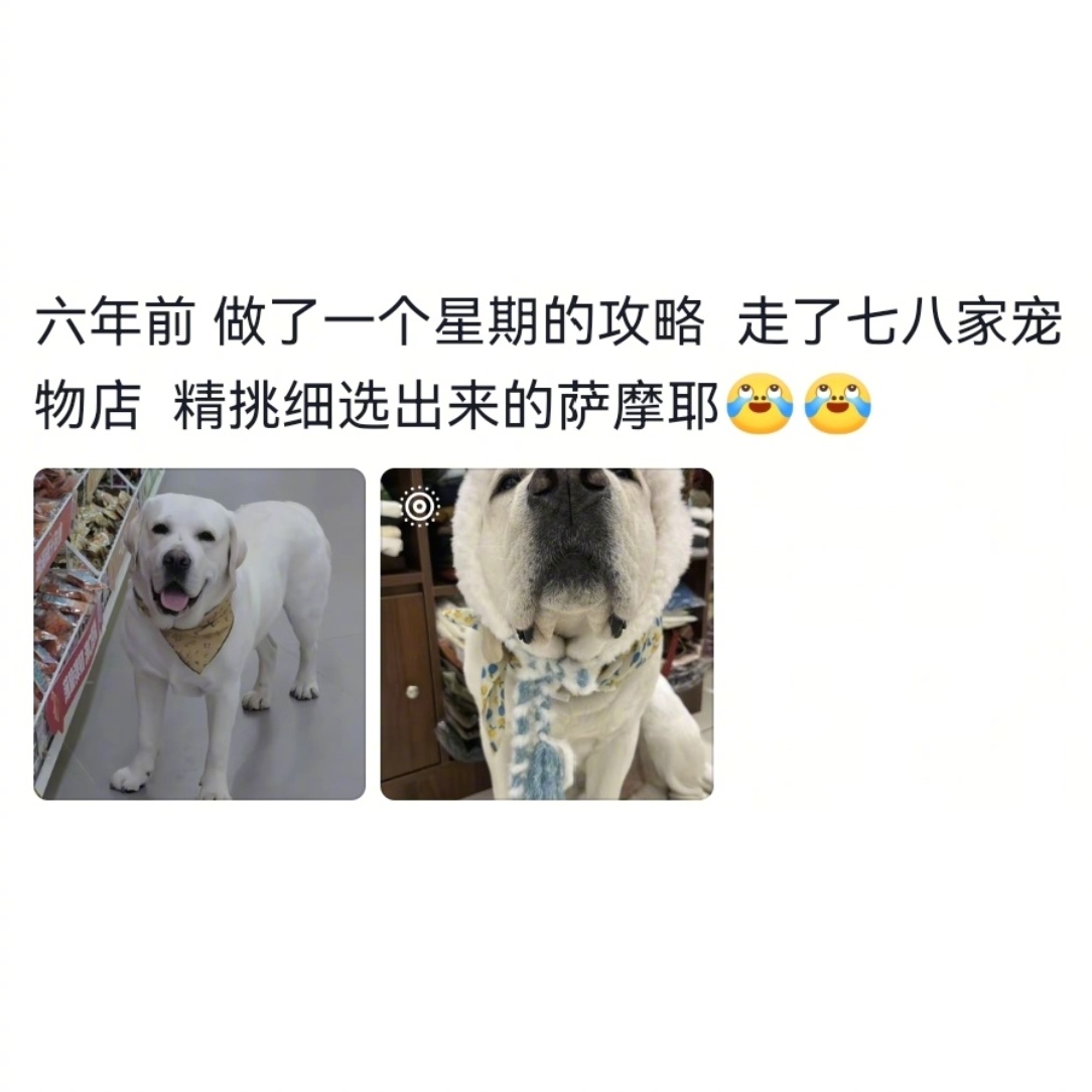 真正的缘分总是如此猝不及防