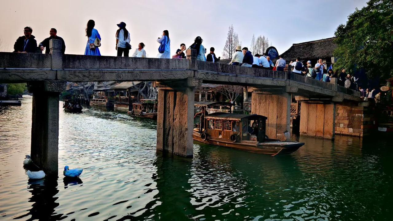 石桥卧波，乌篷摇梦，春风里满是江南的温柔与人间烟火。