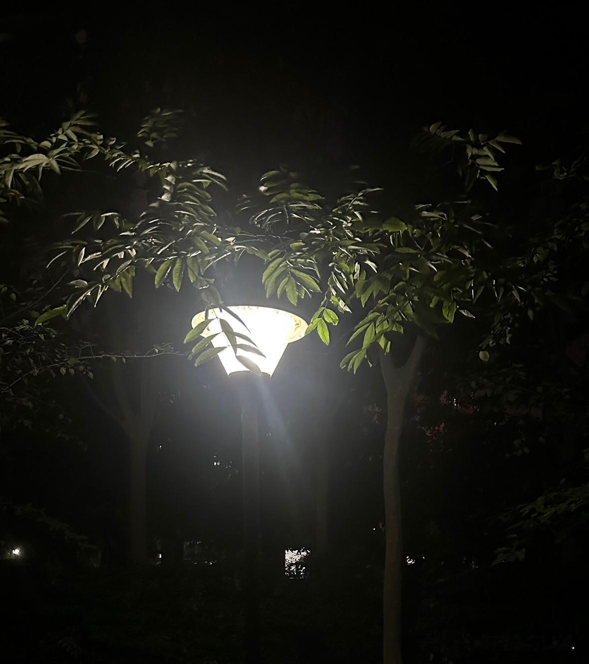 负债之后，我变成了一个刻薄的人

负债三年，我发现自己变了一个人，以前朋友找我帮
