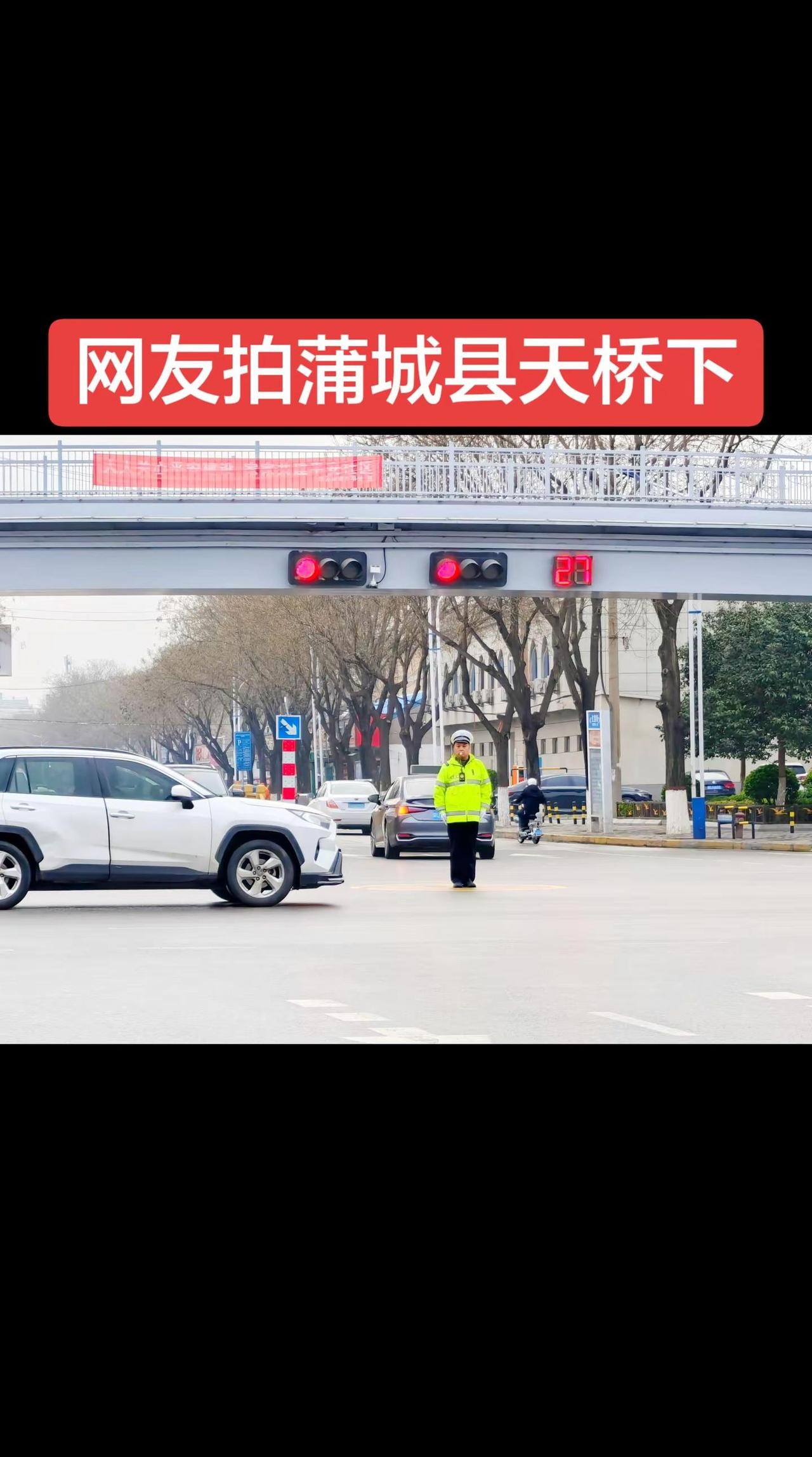 网友们拍到了蒲城县天桥下