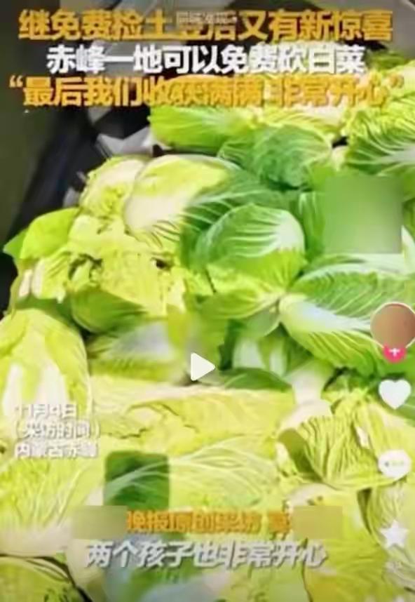 一张嘴，能杀人；一条假消息，能毁掉百亩菜地！
刚看到央视网一条新闻，有人散布谣言