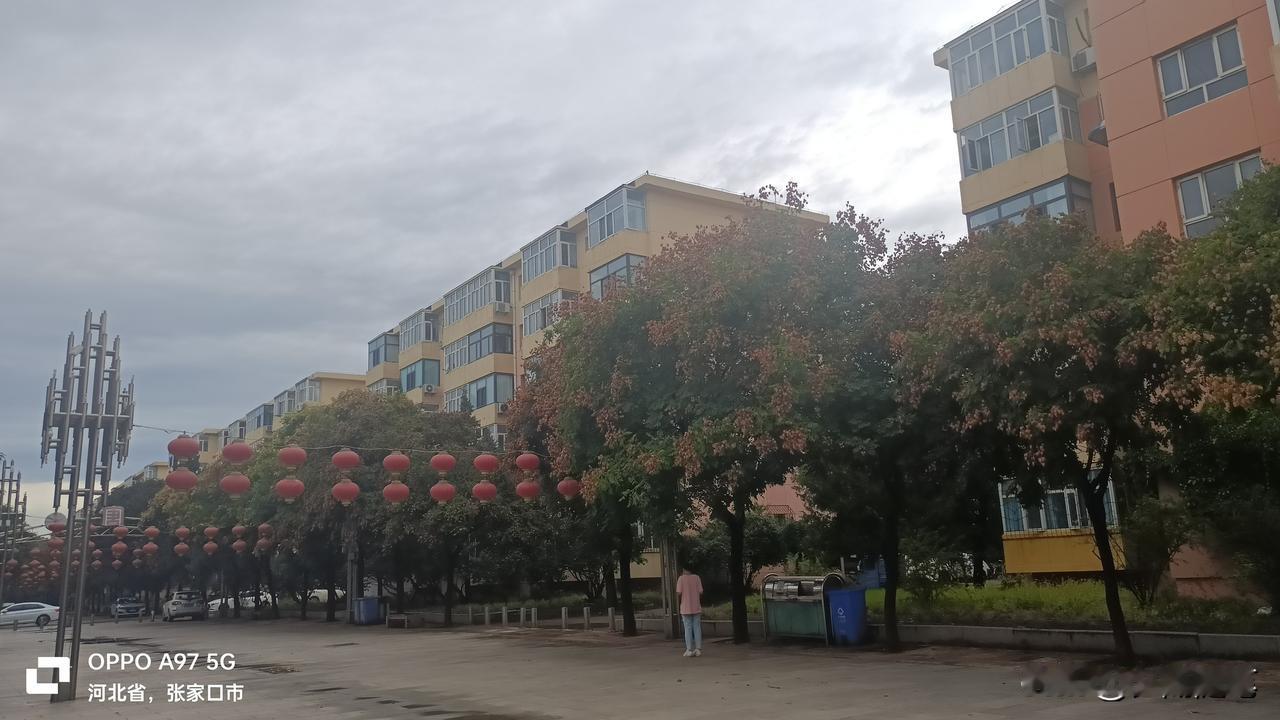 看一看，电厂园林式的生活小区。