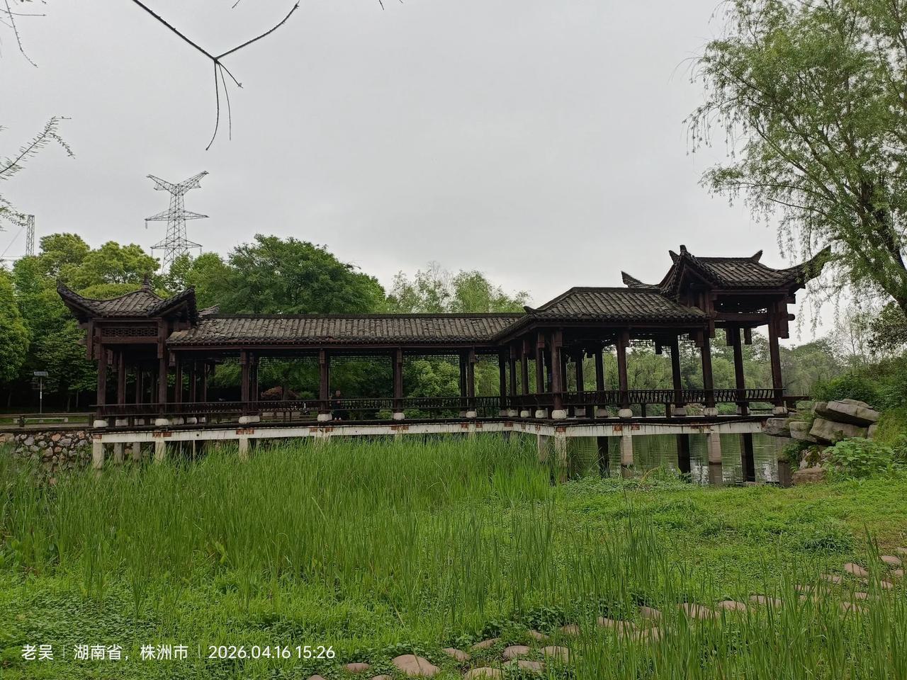 你认为株洲最美丽的地方是哪里春游踏青.天鹅湖公园