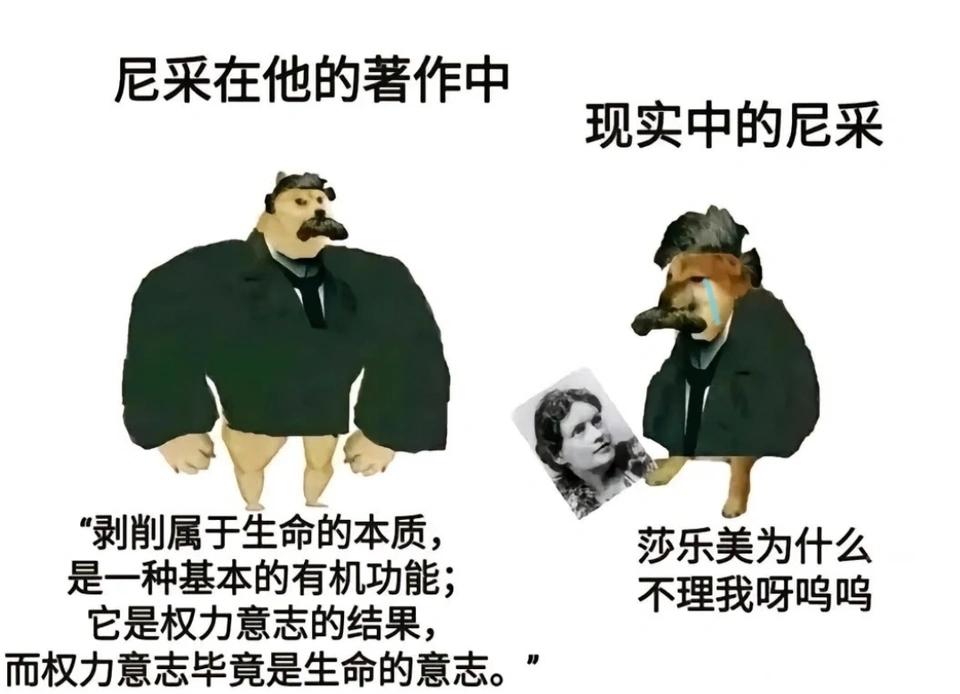 有人调侃尼采，如图片中的样子。尼采的思想是我最为喜欢的，发现那么多哲学家里，只有