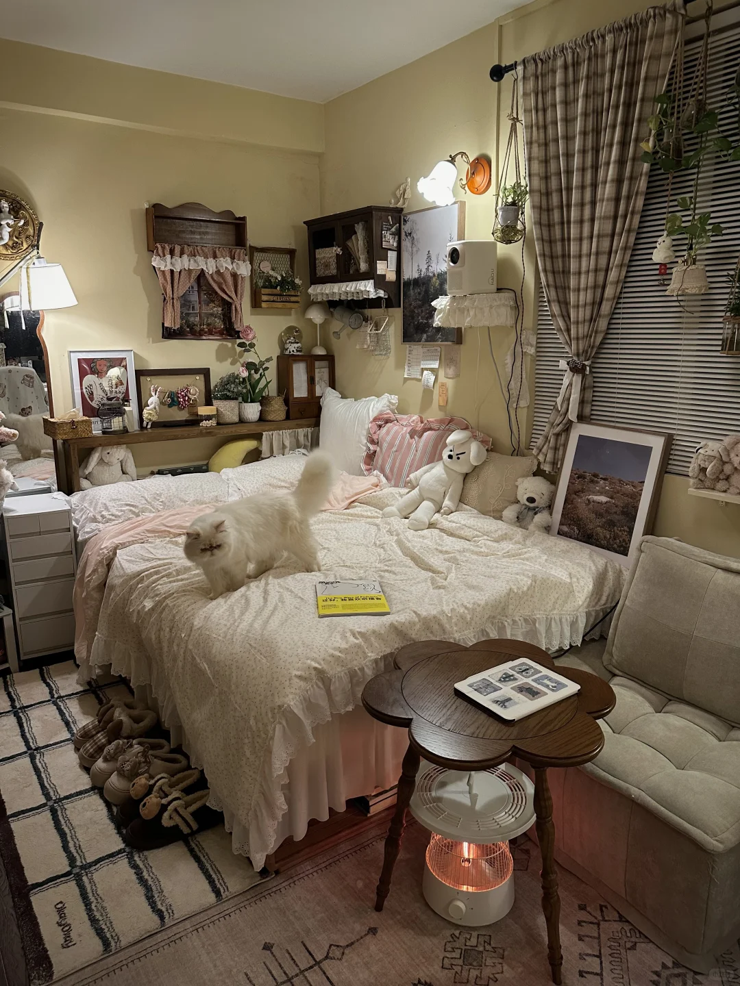 冬日卧室晚间◝平静和自由 ⁾⁾ 📖🛌 ටᆼ